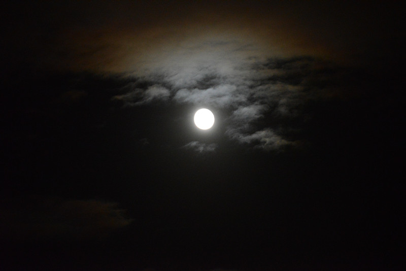 moon 044_.jpg