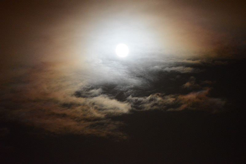 moon 077_.jpg