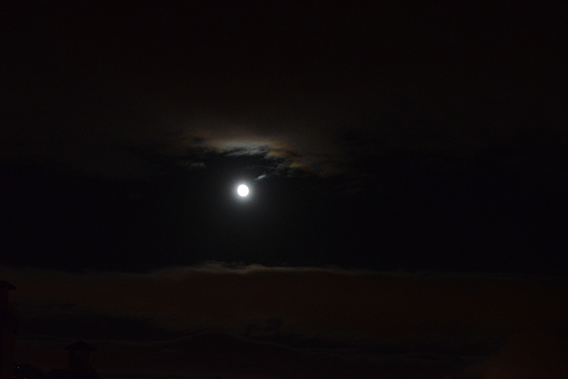 moon 040_.jpg