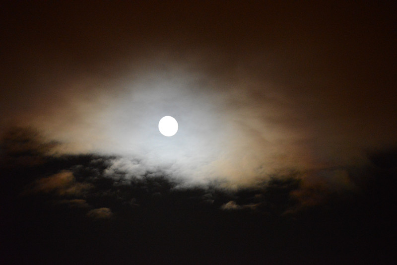 moon 071_.jpg