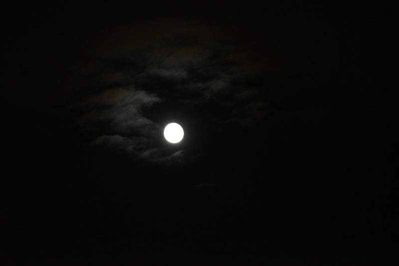 moon 043_.jpg