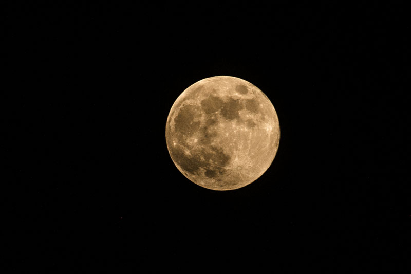 DSC_9373.jpg