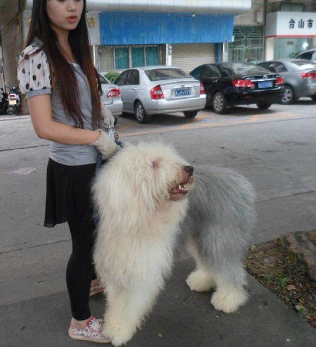 SAM_4211_副本.jpg