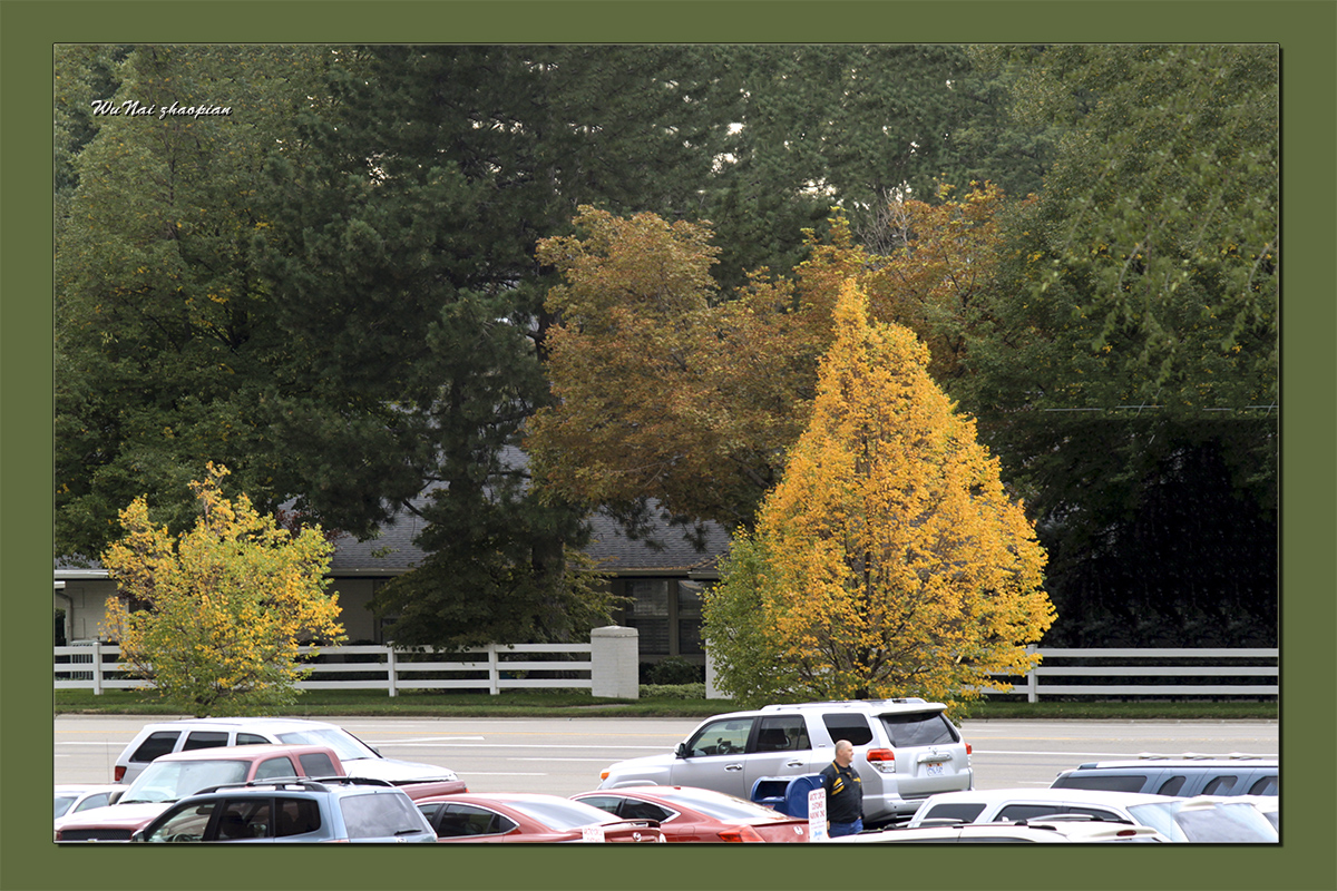 IMG_4656-1.jpg