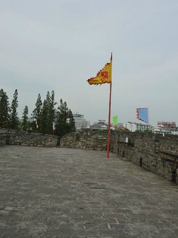 CMG_4311.jpg