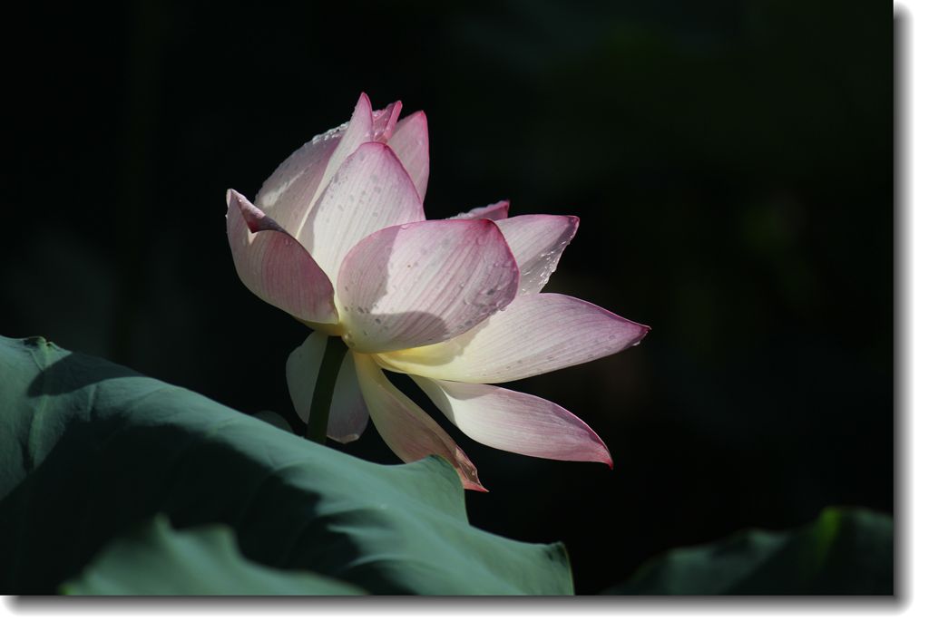 IMG_8256_副本.jpg