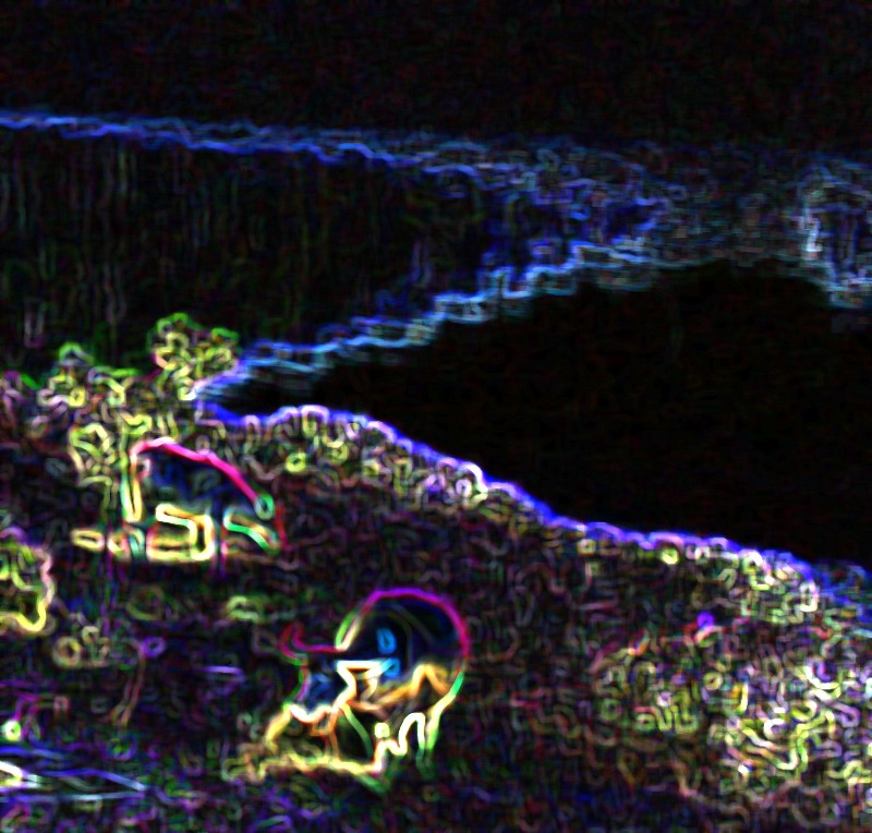 001_conew465.jpg