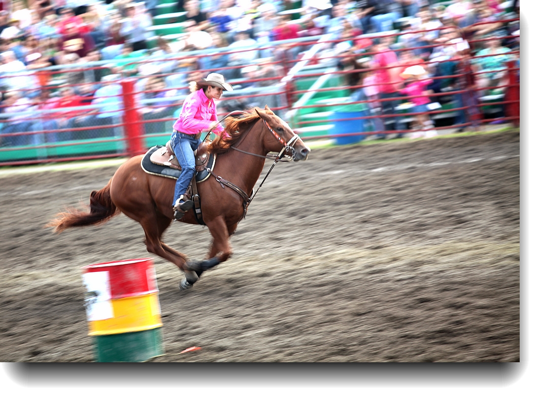 IMG_5264a.jpg