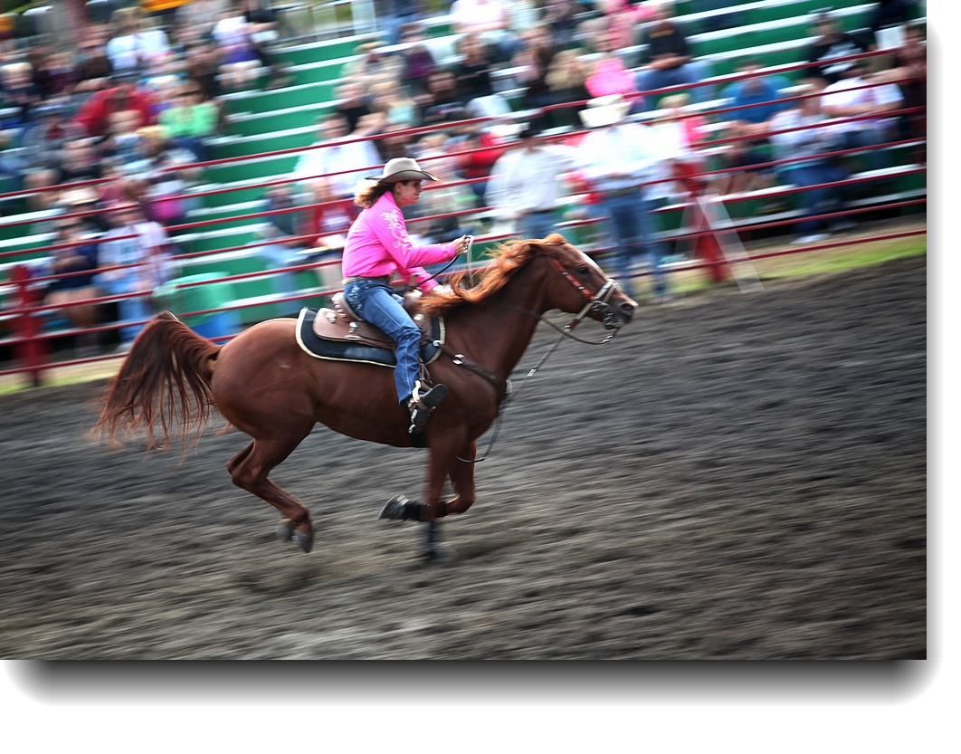 IMG_5267a.jpg