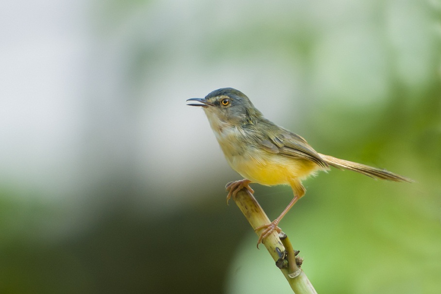 DSC_4729.jpg