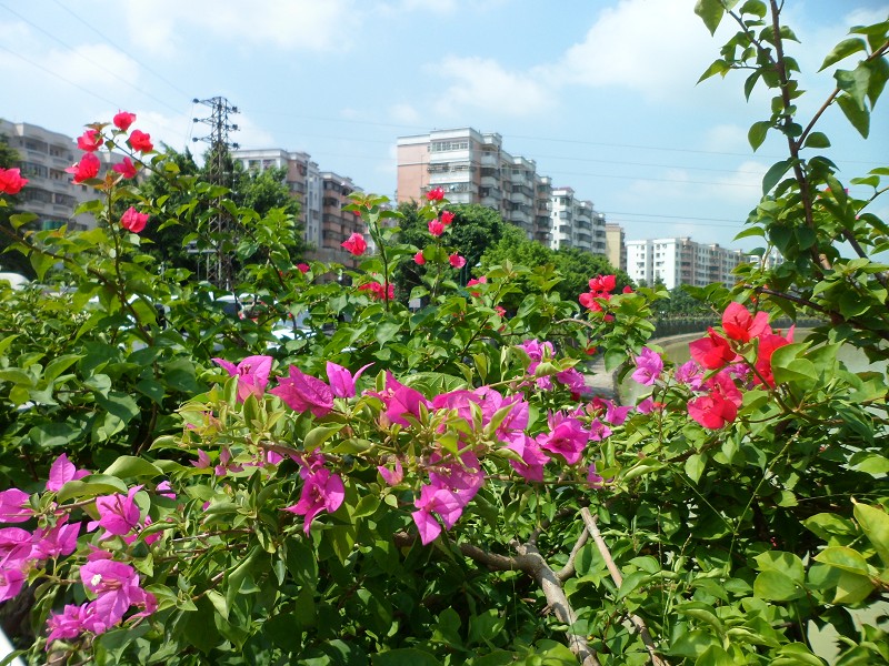 62_243_d63c8747bc27969.jpg