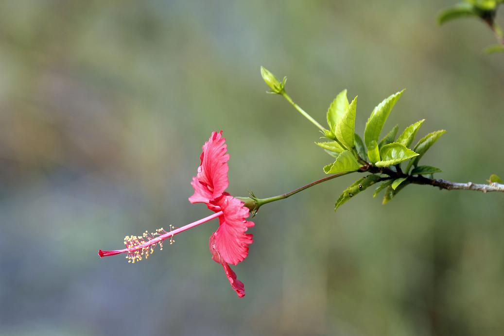 _MG_4389.JPG