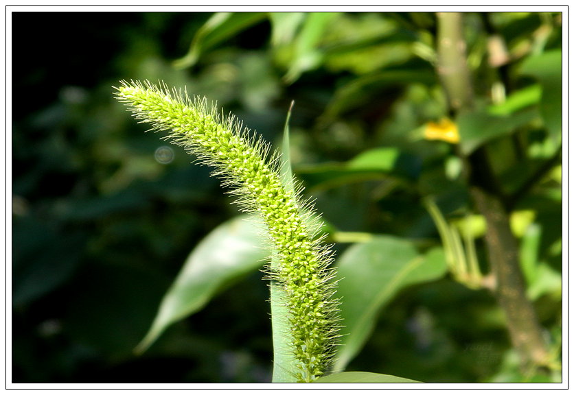 DSCN3519.JPG