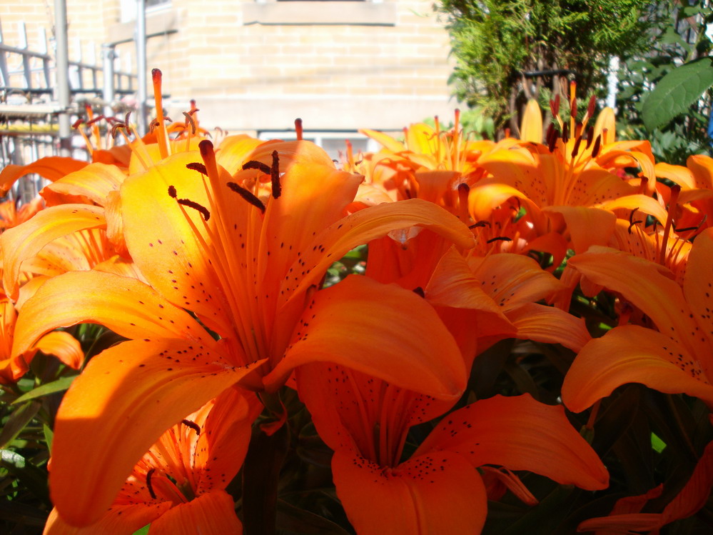 DSC05571.JPG