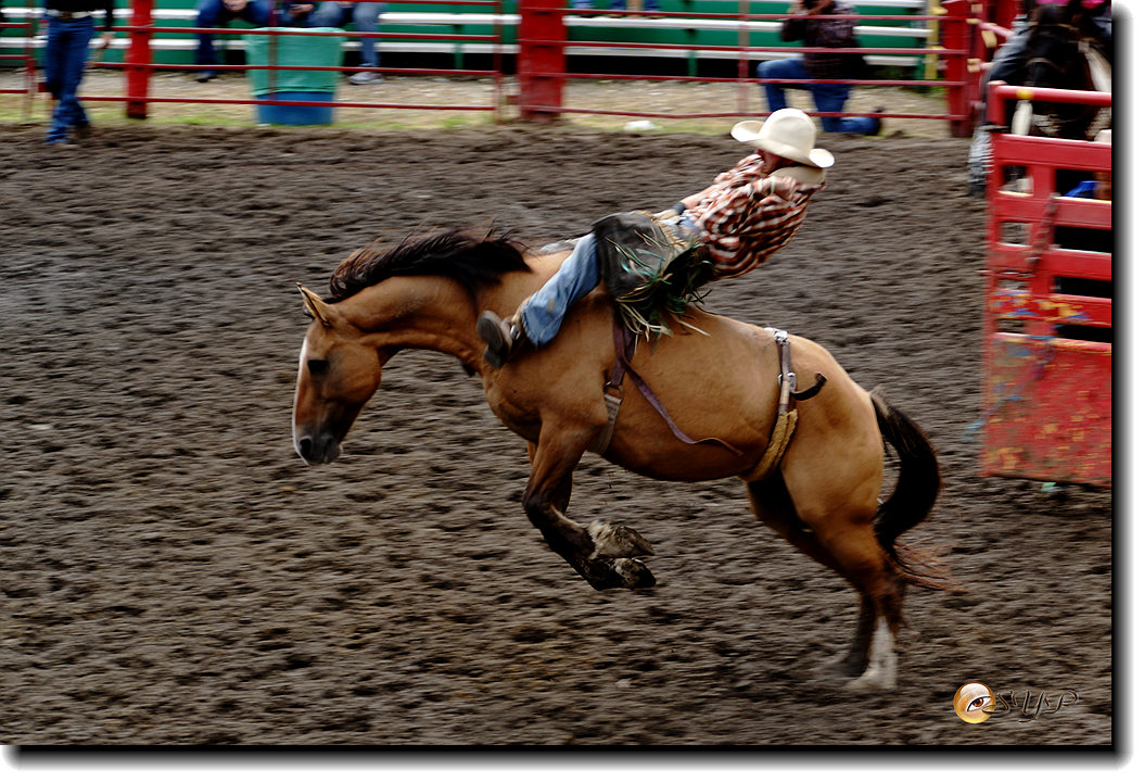 DSC03972_.jpg