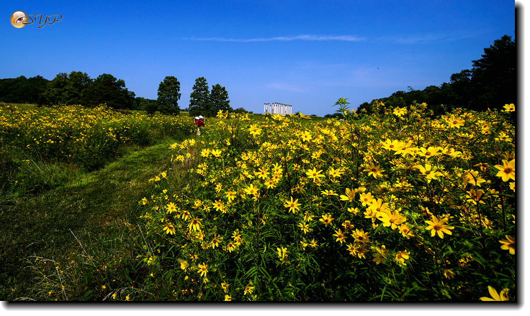 DSC02859a_.jpg