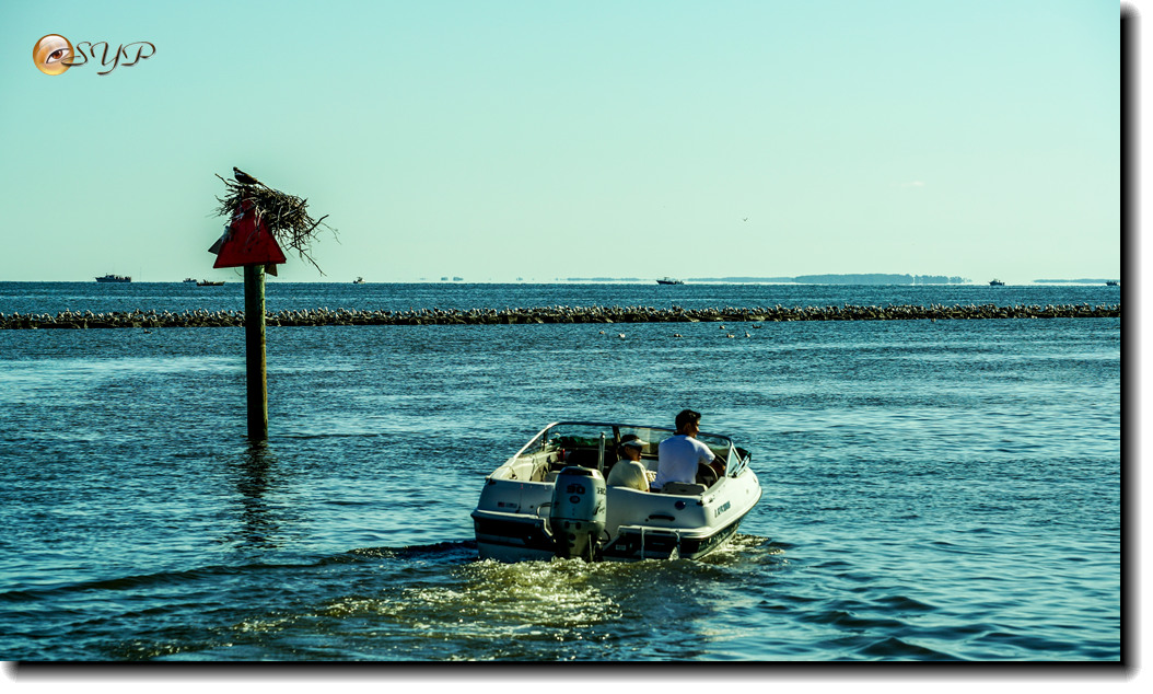 DSC03179_.jpg