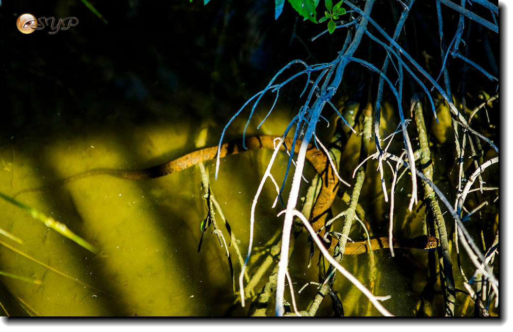 DSC03190_.jpg