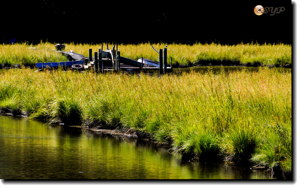 DSC03235_.jpg