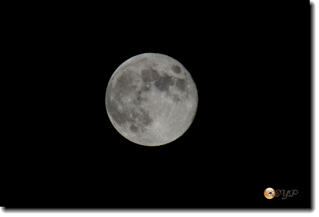 DSC03679_.jpg