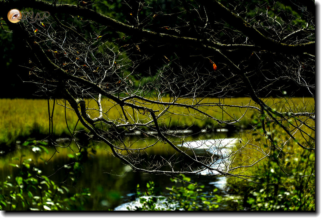 DSC03267_.jpg