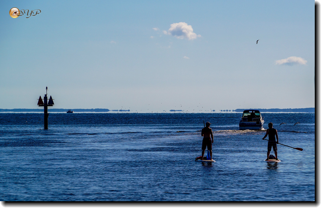 DSC03177_.jpg
