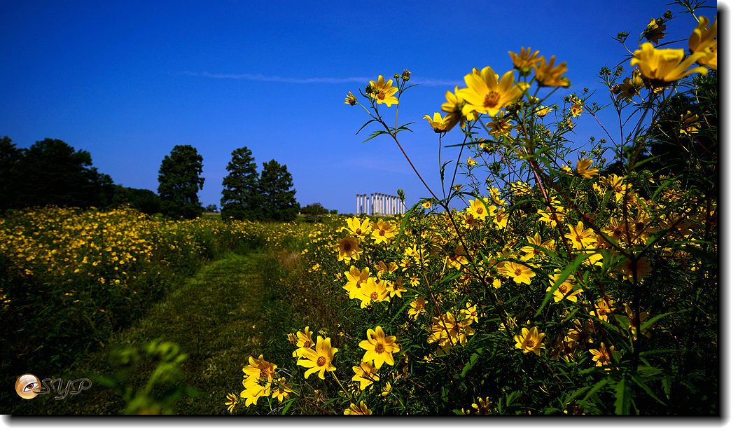 DSC02850a_.jpg