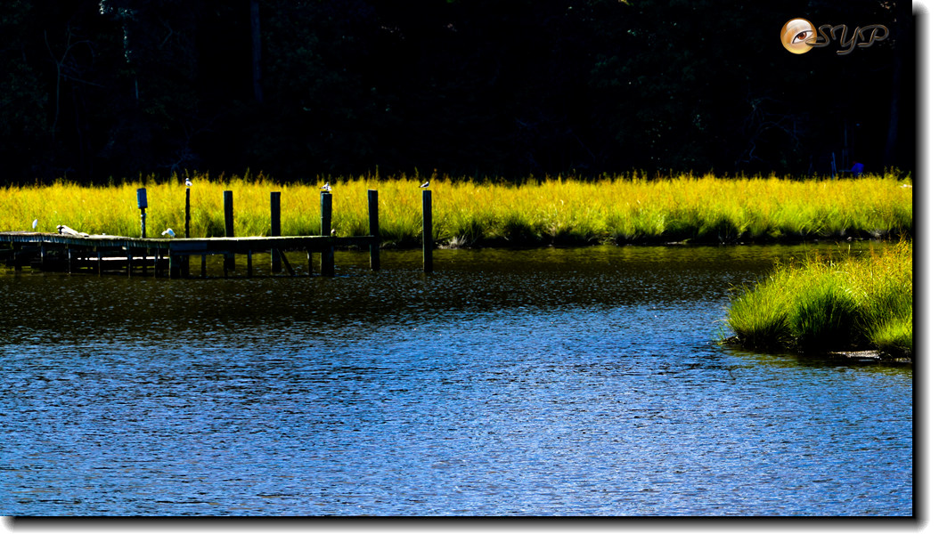 DSC03227_.jpg