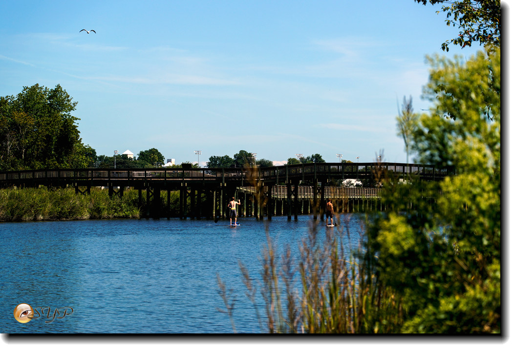 DSC03279_.jpg