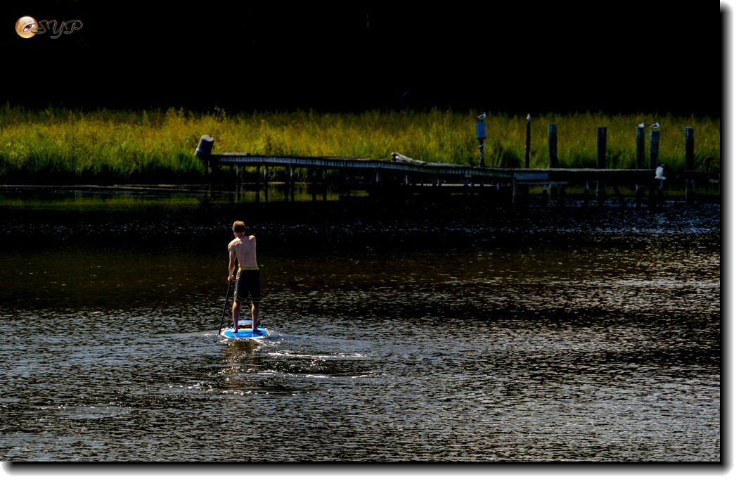 DSC03258_.jpg