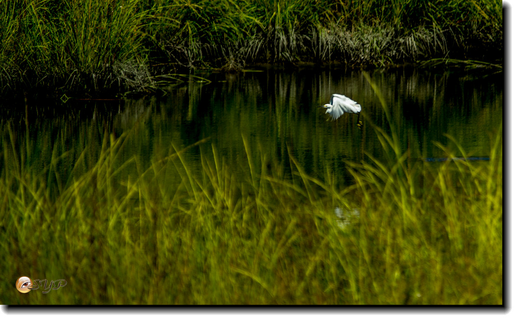 DSC03238_.jpg