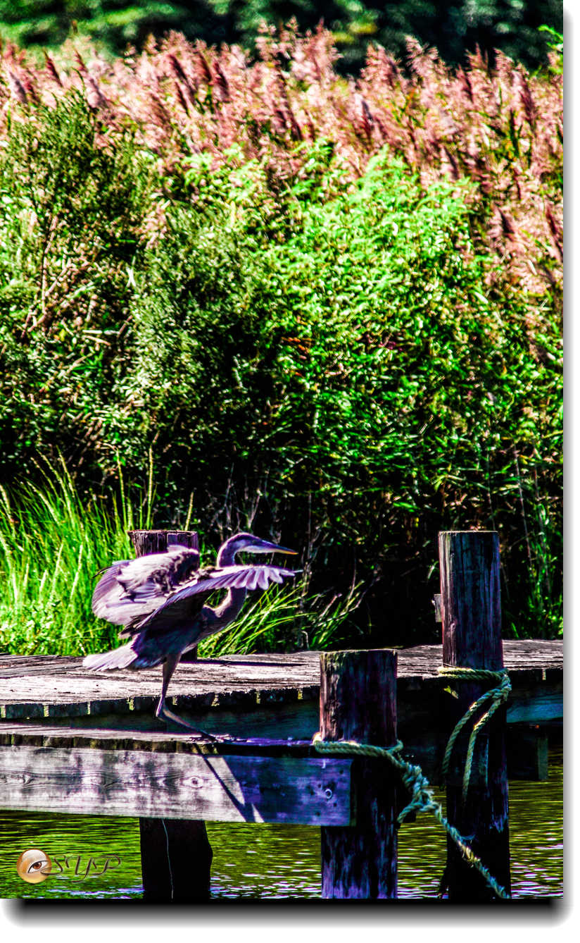DSC03195_.jpg