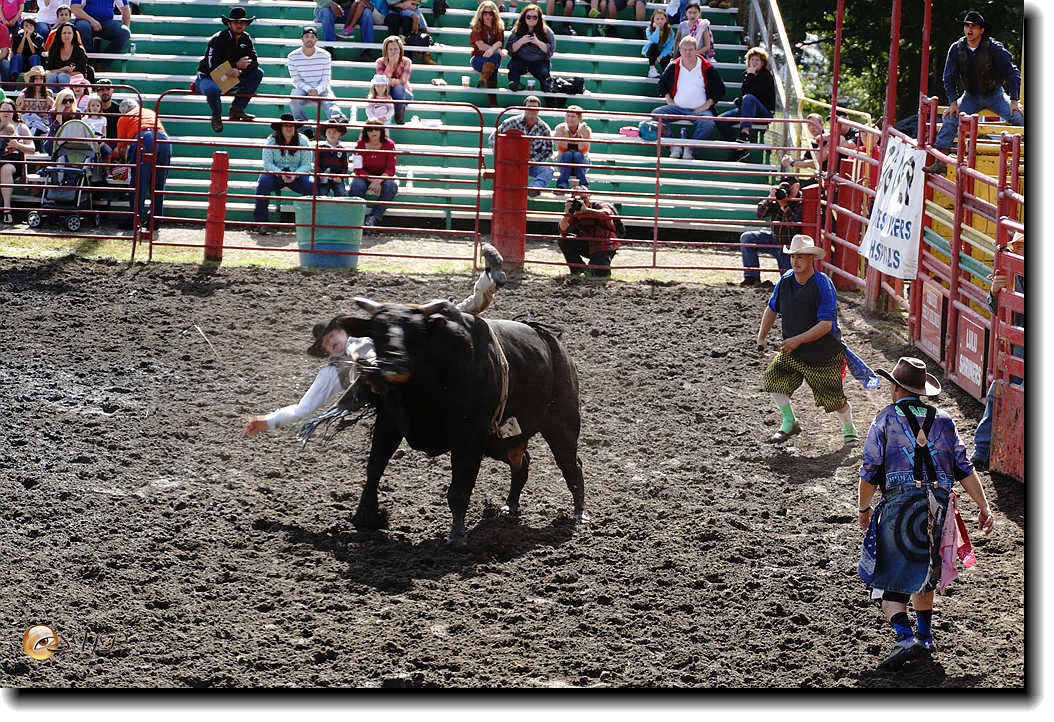 DSC04194_.jpg