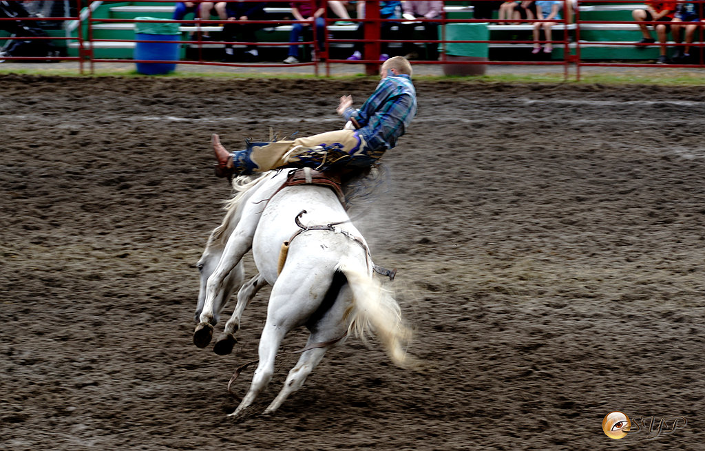 DSC03951_.jpg