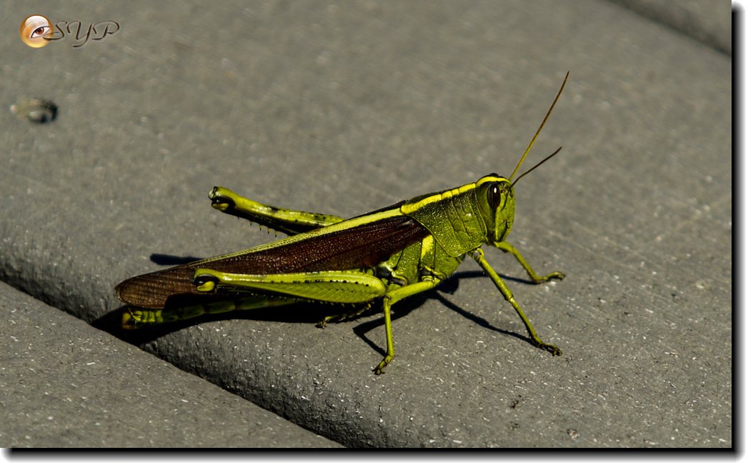 DSC03282_.jpg