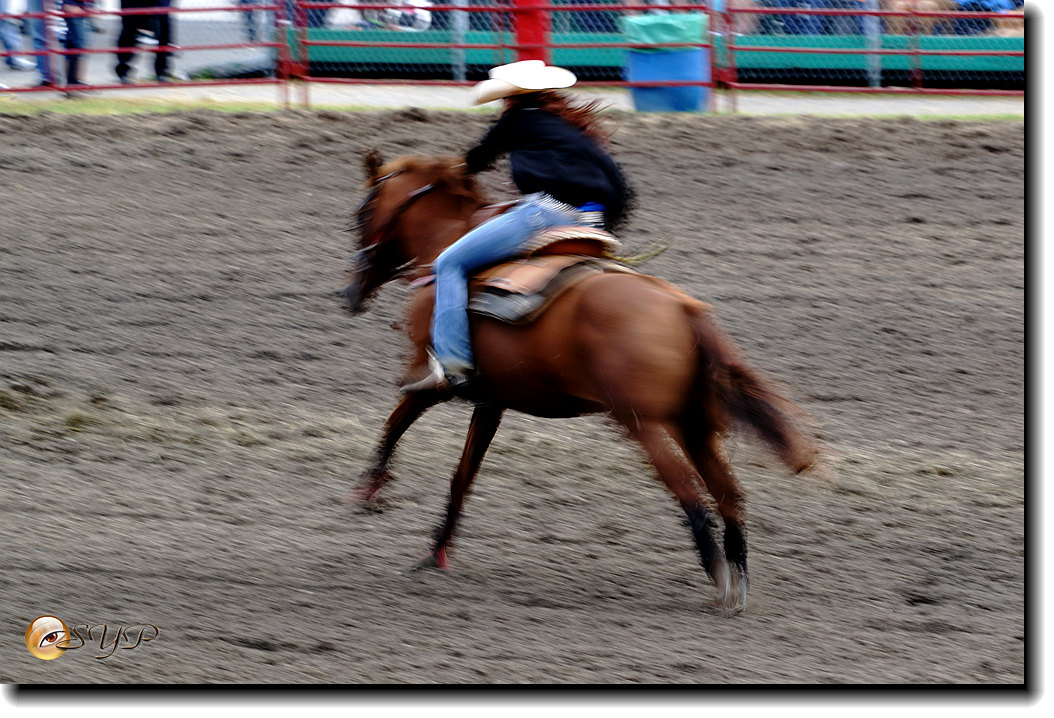 DSC04380_.jpg