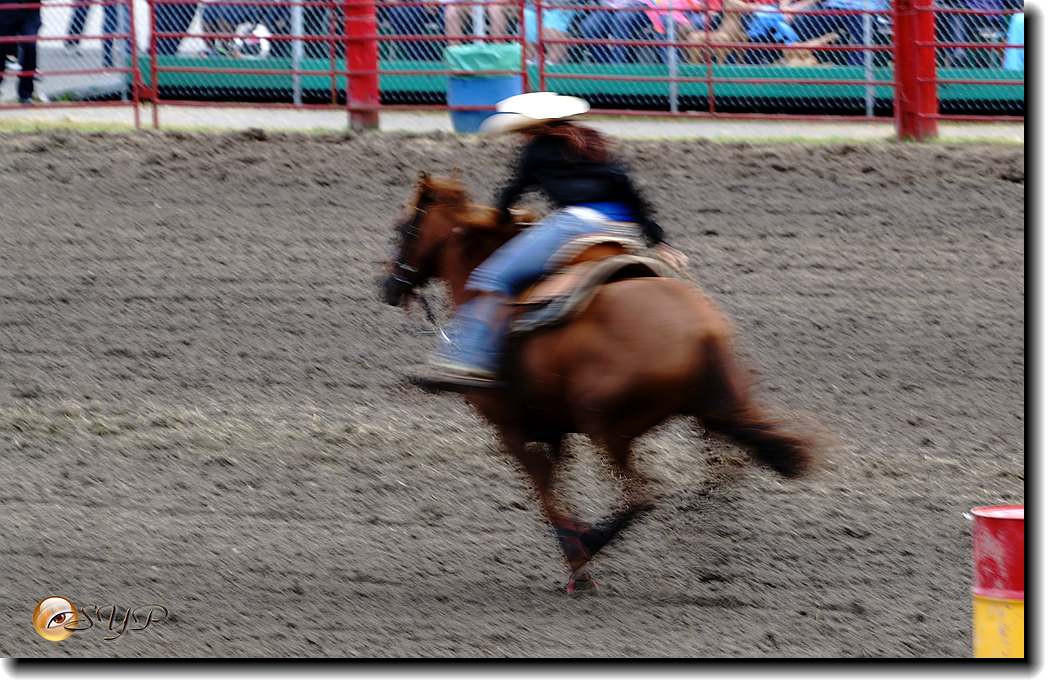 DSC04379_.jpg