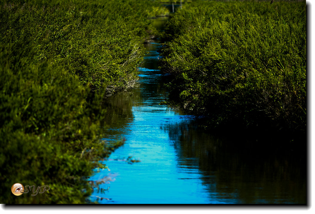 DSC03191_.jpg