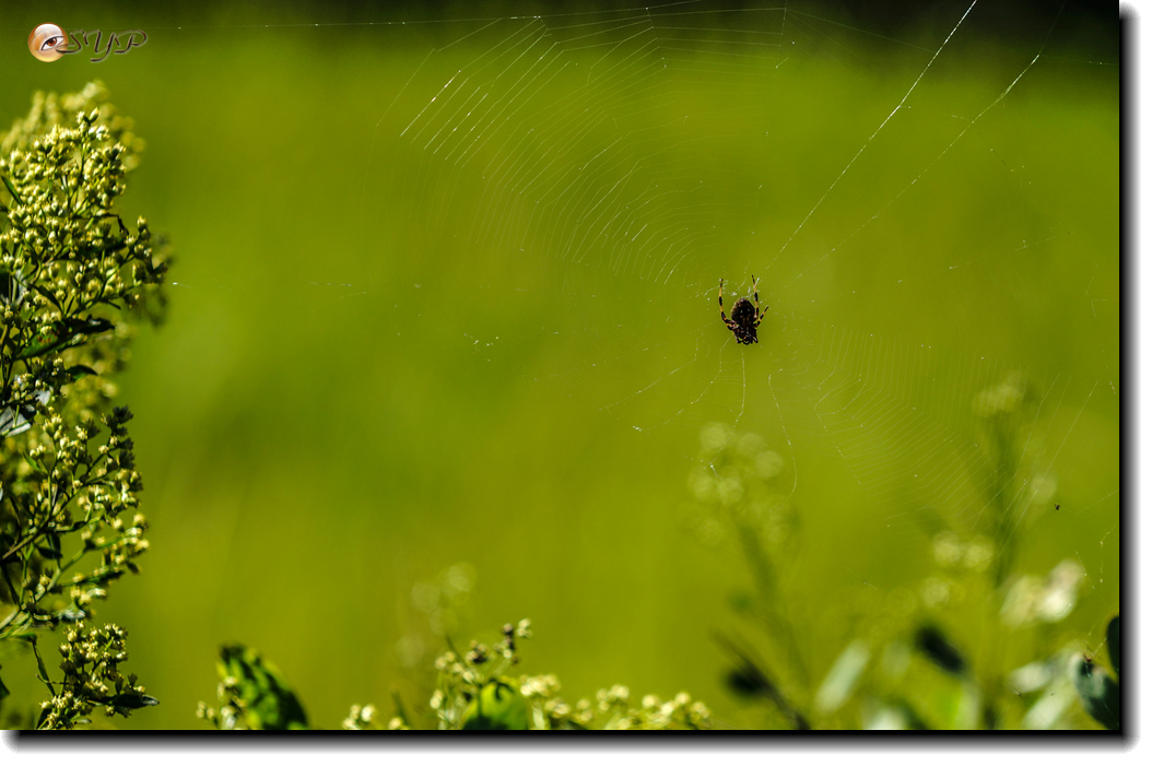 DSC03209_.jpg