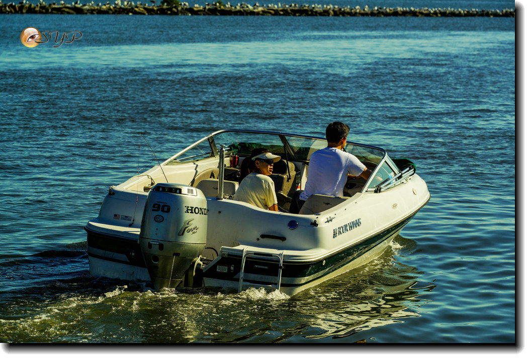 DSC03178_.jpg