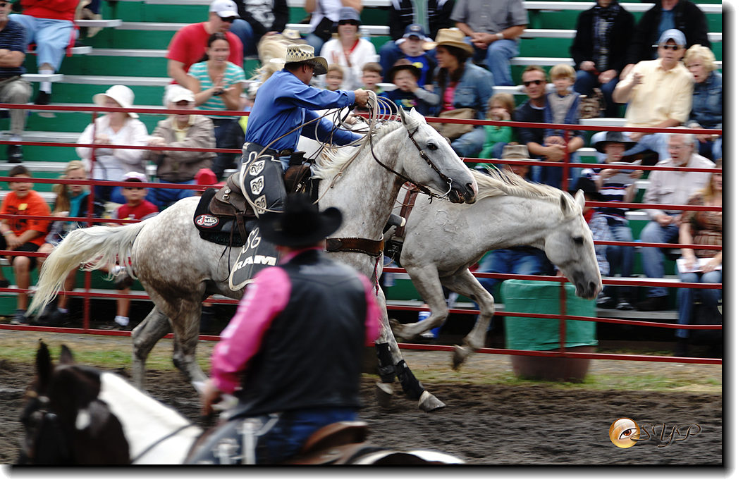 DSC03963_.jpg