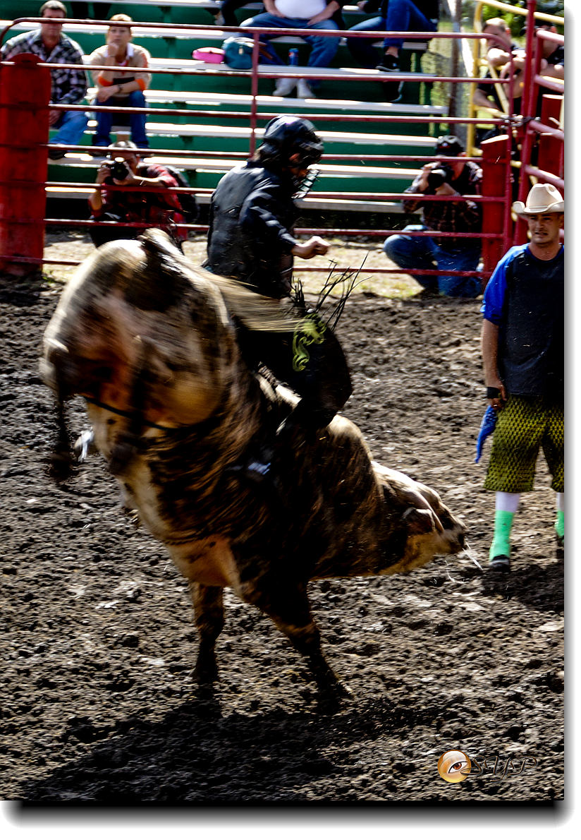 DSC04176_.jpg