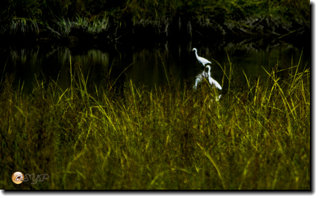 DSC03236_.jpg