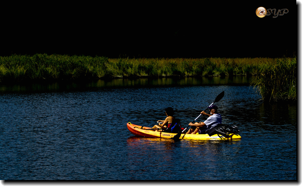 DSC03277_.jpg