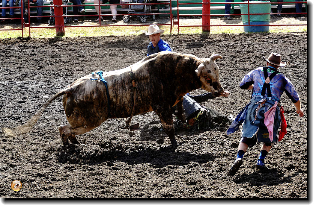 DSC04185_.jpg