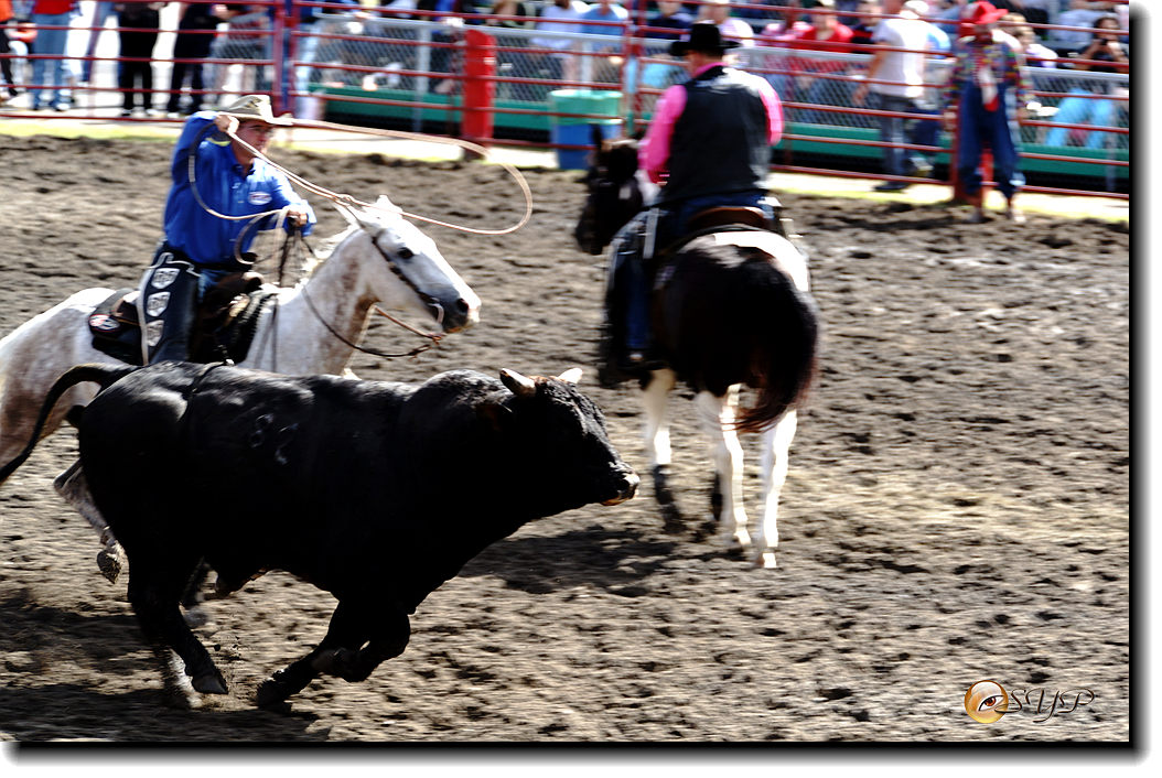 DSC04205_.jpg