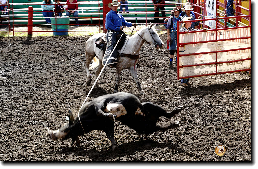 DSC04168_.jpg