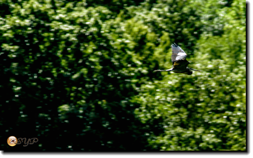 DSC03298_.jpg