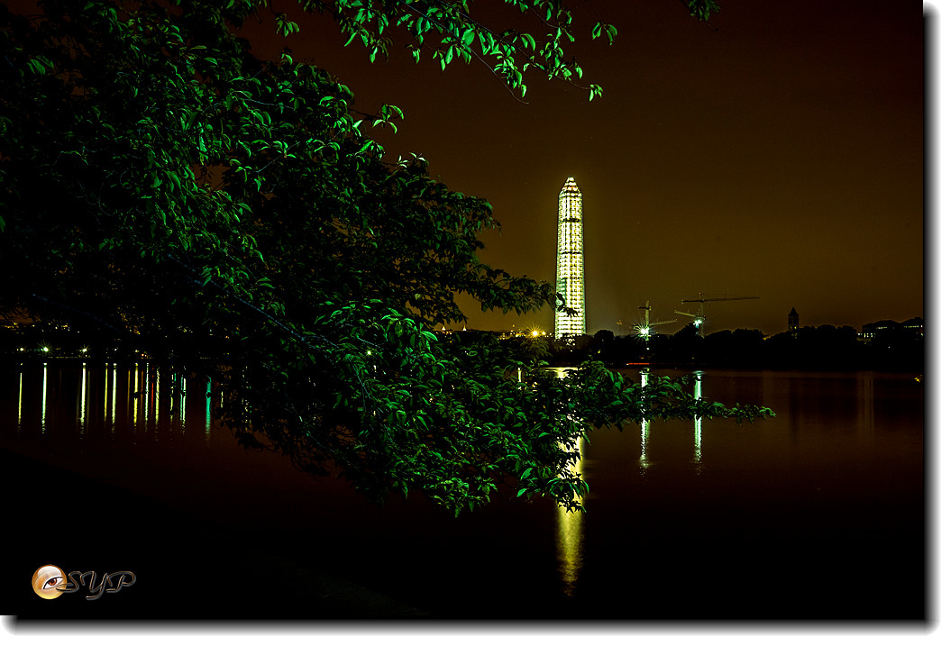 DSC03064_.jpg