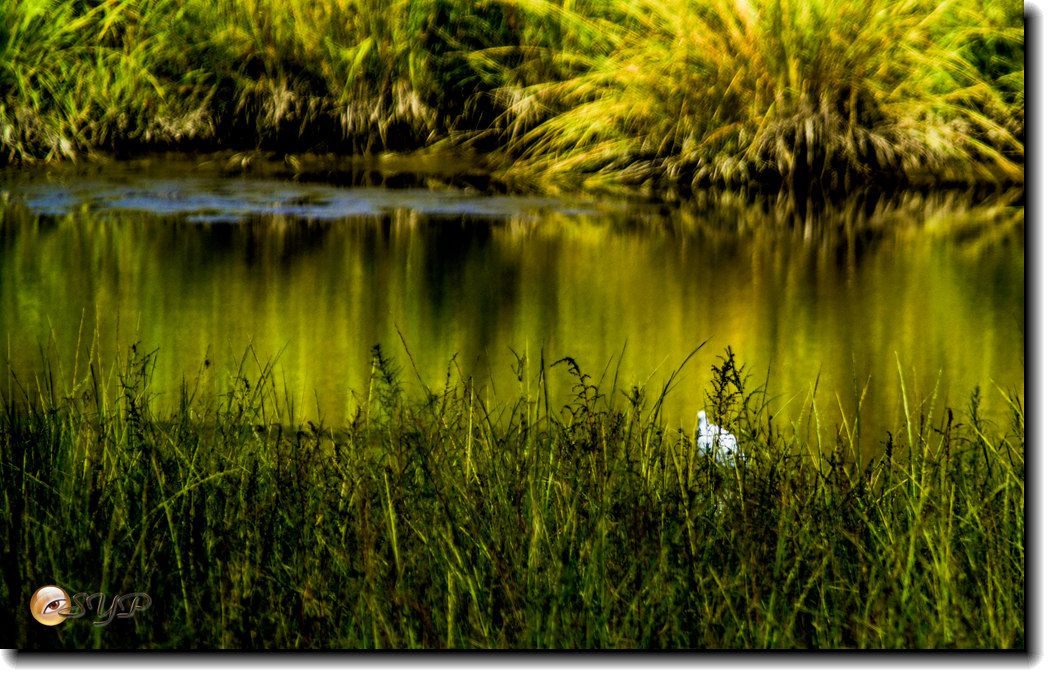 DSC03231_.jpg